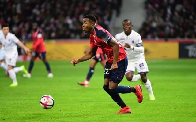 质的长期博 质的长期博